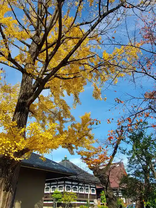 如宝寺(福島県)