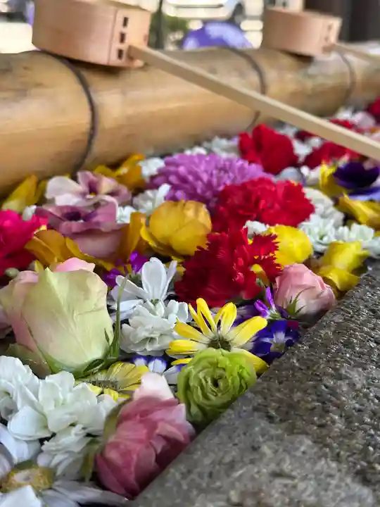 群馬県護国神社(群馬県)
