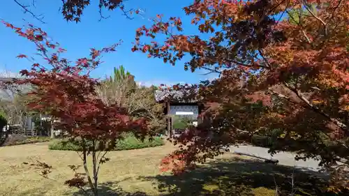 勧修寺(京都府)