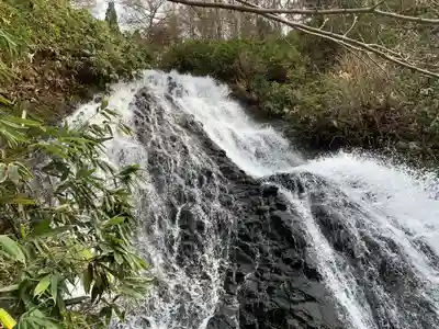 七滝神社の自然
