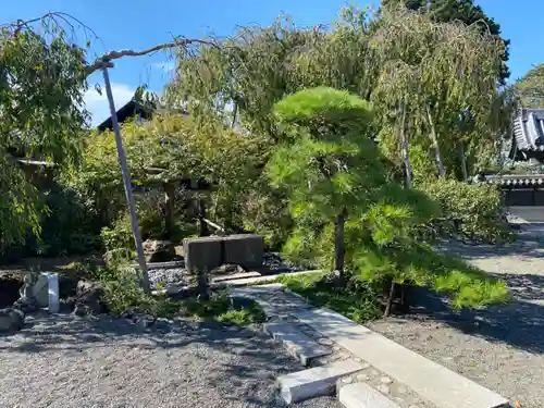 宝蔵寺の庭園