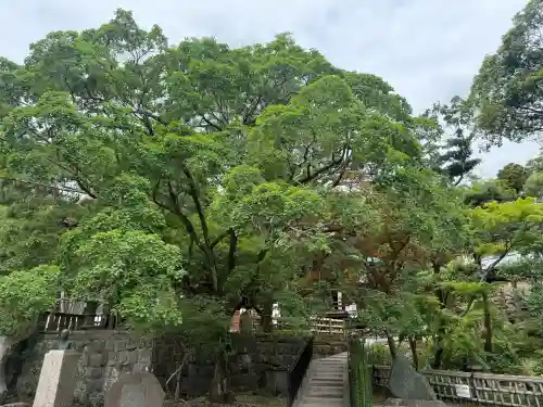 深大寺の御朱印