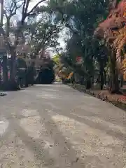 賀茂御祖神社（下鴨神社）(京都府)