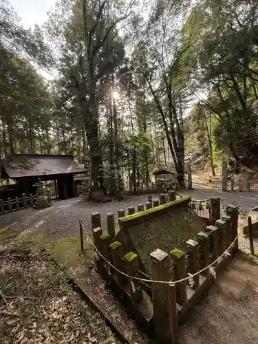 八幡神社松平東照宮の{uncategorized: "未分類", other: "その他", undefined: "問題あり", building: "その他建物", grave: "お墓", sacred_gate: "鳥居", guardian: "狛犬", statue: "像", buddha: "仏像", history: "歴史", nature: "自然", garden: "庭園", animal: "動物", pagoda: "塔", temizu: "手水舎", mountain_gate: "山門・神門", sanctuary: "本殿・本堂", subordinate: "末社・摂社", art: "芸術", scenery: "景色", jizo: "地蔵", ema: "絵馬", goshuin: "御朱印", omikuji: "おみくじ", items: "授与品その他", amulet: "お守り", goshuincho: "御朱印帳", eats: "食事", festival: "お祭り", votive_dance: "神楽", shichigosan: "七五三参", wedding: "結婚式", experience: "体験その他", initially: "初詣", around: "周辺", anti_infection: "感染症対策"}