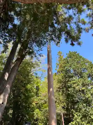 矢彦神社(長野県)