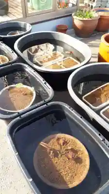 極楽山　浄土寺のその他建物
