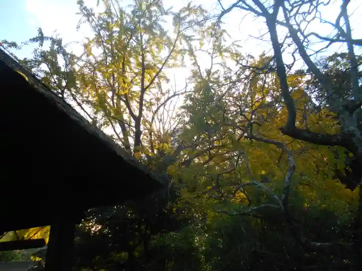 報国寺のその他建物