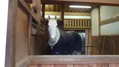 金刀比羅宮(香川県)
