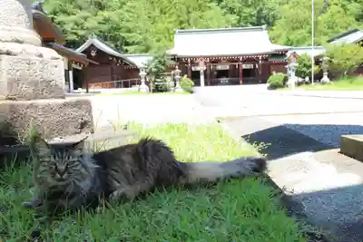 山梨縣護國神社(山梨県)