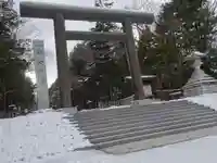 北海道神宮の鳥居