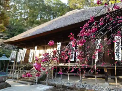 杉本寺(神奈川県)
