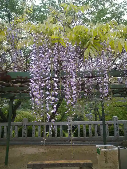 木華佐久耶比咩神社の自然