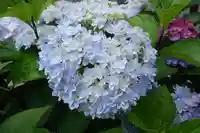 十日恵比須神社(福岡県)