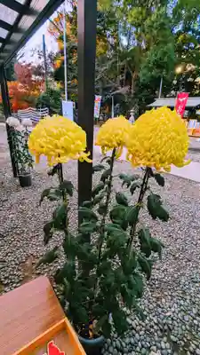 前原御嶽神社の自然