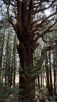 表刀神社(宮城県)