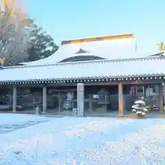 温泉山 安楽寺(四国霊場第六番札所)の本殿