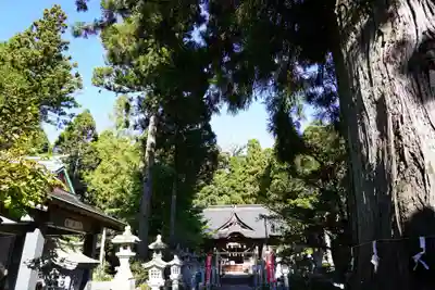 涼ケ岡八幡神社のその他建物