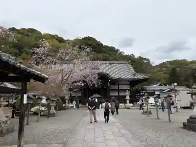 根来寺の{uncategorized: "未分類", other: "その他", undefined: "問題あり", building: "その他建物", grave: "お墓", sacred_gate: "鳥居", guardian: "狛犬", statue: "像", buddha: "仏像", history: "歴史", nature: "自然", garden: "庭園", animal: "動物", pagoda: "塔", temizu: "手水舎", mountain_gate: "山門・神門", sanctuary: "本殿・本堂", subordinate: "末社・摂社", art: "芸術", scenery: "景色", jizo: "地蔵", ema: "絵馬", goshuin: "御朱印", omikuji: "おみくじ", items: "授与品その他", amulet: "お守り", goshuincho: "御朱印帳", eats: "食事", festival: "お祭り", votive_dance: "神楽", shichigosan: "七五三参", wedding: "結婚式", experience: "体験その他", initially: "初詣", around: "周辺", anti_infection: "感染症対策"}