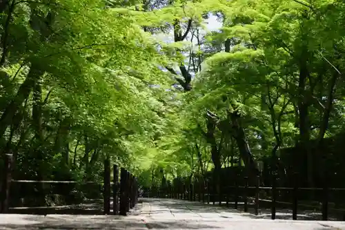 光明寺（粟生光明寺）(京都府)