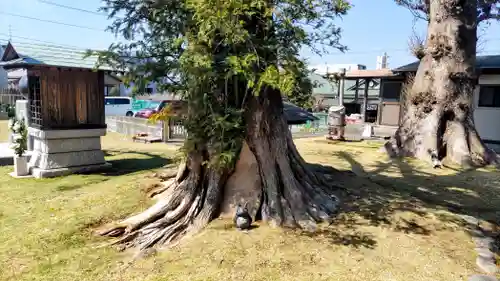 曹洞宗月光山鳳林寺(静岡県)