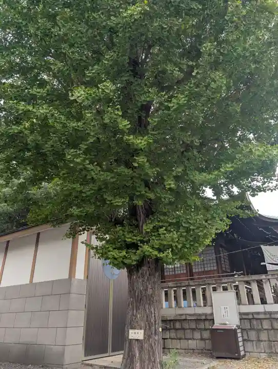 尾久八幡神社(東京都)