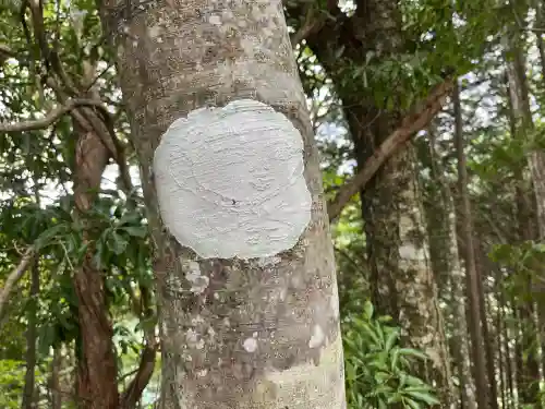 三峯神社(埼玉県)