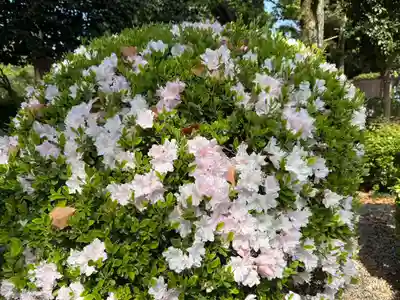 美奈宜神社(福岡県)
