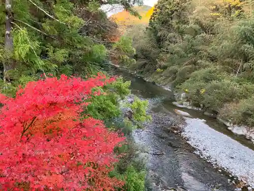 十三神社の自然
