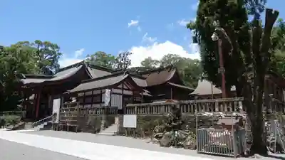 鹿児島神宮(鹿児島県)