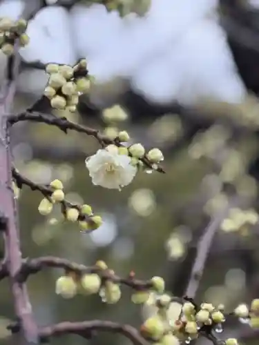 伊勢の国 四天王寺(三重県)