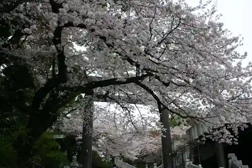 伊勢山皇大神宮(神奈川県)