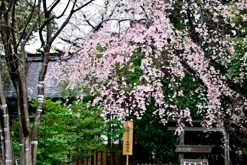 伊勢山皇大神宮の自然