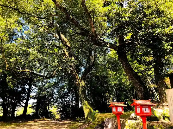 大宮神社のその他建物