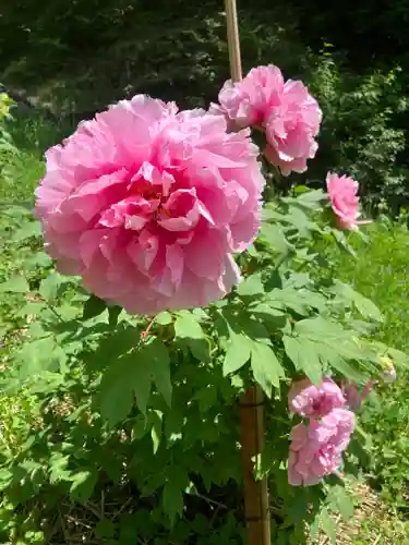 遠照寺(長野県)