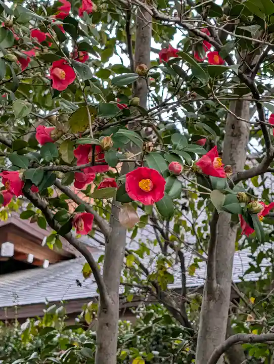 城南宮の{uncategorized: "未分類", other: "その他", undefined: "問題あり", building: "その他建物", grave: "お墓", sacred_gate: "鳥居", guardian: "狛犬", statue: "像", buddha: "仏像", history: "歴史", nature: "自然", garden: "庭園", animal: "動物", pagoda: "塔", temizu: "手水舎", mountain_gate: "山門・神門", sanctuary: "本殿・本堂", subordinate: "末社・摂社", art: "芸術", scenery: "景色", jizo: "地蔵", ema: "絵馬", goshuin: "御朱印", omikuji: "おみくじ", items: "授与品その他", amulet: "お守り", goshuincho: "御朱印帳", eats: "食事", festival: "お祭り", votive_dance: "神楽", shichigosan: "七五三参", wedding: "結婚式", experience: "体験その他", initially: "初詣", around: "周辺", anti_infection: "感染症対策"}