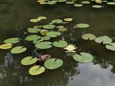 平安神宮(京都府)