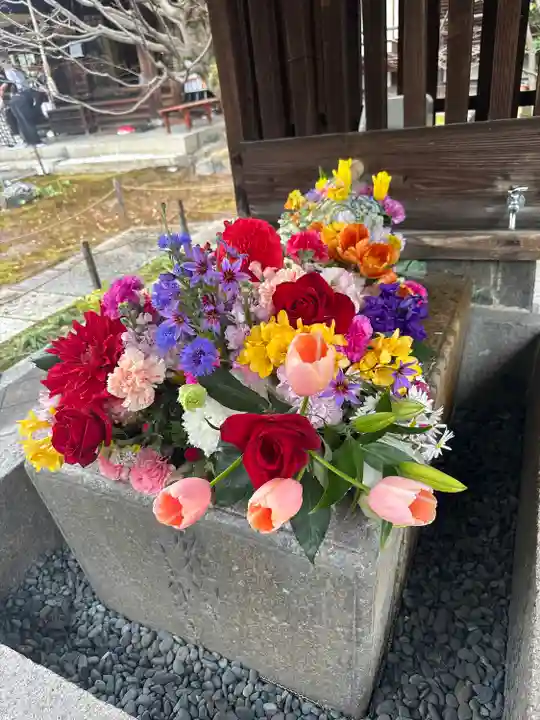 勝林寺(京都府)