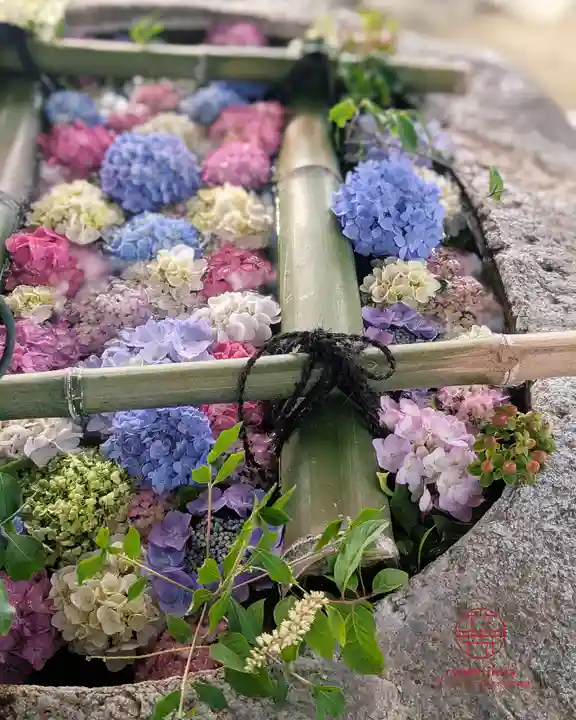 立志神社(滋賀県)