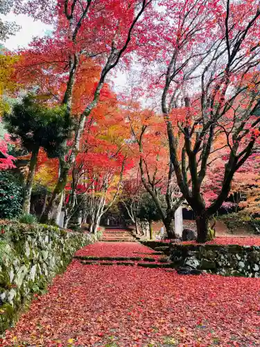 鶏足寺の{uncategorized: "未分類", other: "その他", undefined: "問題あり", building: "その他建物", grave: "お墓", sacred_gate: "鳥居", guardian: "狛犬", statue: "像", buddha: "仏像", history: "歴史", nature: "自然", garden: "庭園", animal: "動物", pagoda: "塔", temizu: "手水舎", mountain_gate: "山門・神門", sanctuary: "本殿・本堂", subordinate: "末社・摂社", art: "芸術", scenery: "景色", jizo: "地蔵", ema: "絵馬", goshuin: "御朱印", omikuji: "おみくじ", items: "授与品その他", amulet: "お守り", goshuincho: "御朱印帳", eats: "食事", festival: "お祭り", votive_dance: "神楽", shichigosan: "七五三参", wedding: "結婚式", experience: "体験その他", initially: "初詣", around: "周辺", anti_infection: "感染症対策"}