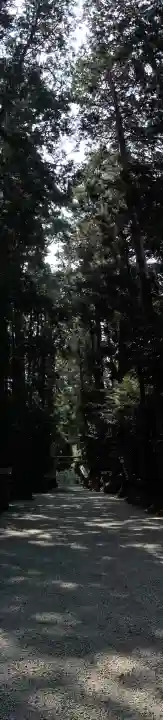 宇太水分神社の自然