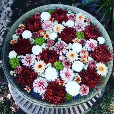 行田八幡神社の手水舎