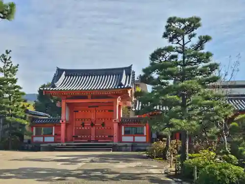 蓮華王院（三十三間堂）(京都府)