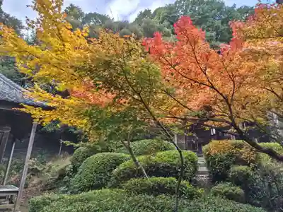 真禅院(岐阜県)