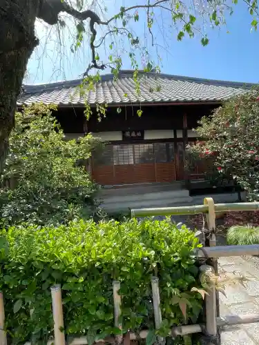 地蔵院（椿寺）(京都府)