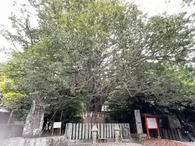 熊野速玉大社(和歌山県)