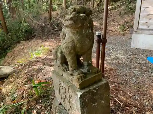 相川神社の狛犬