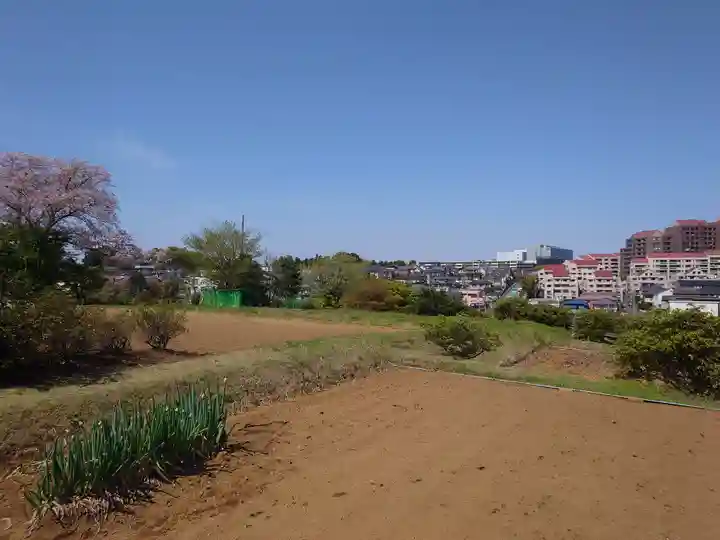 佐江戸杉山神社の周辺