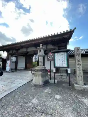 東寺（教王護国寺）(京都府)