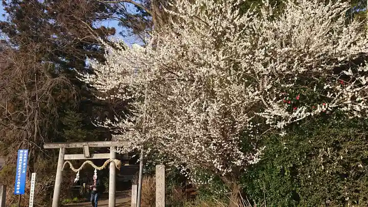 下野 星宮神社のその他建物