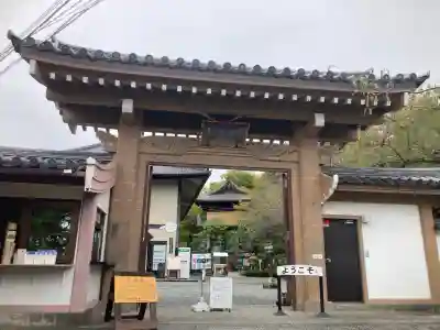 大船観音寺(神奈川県)